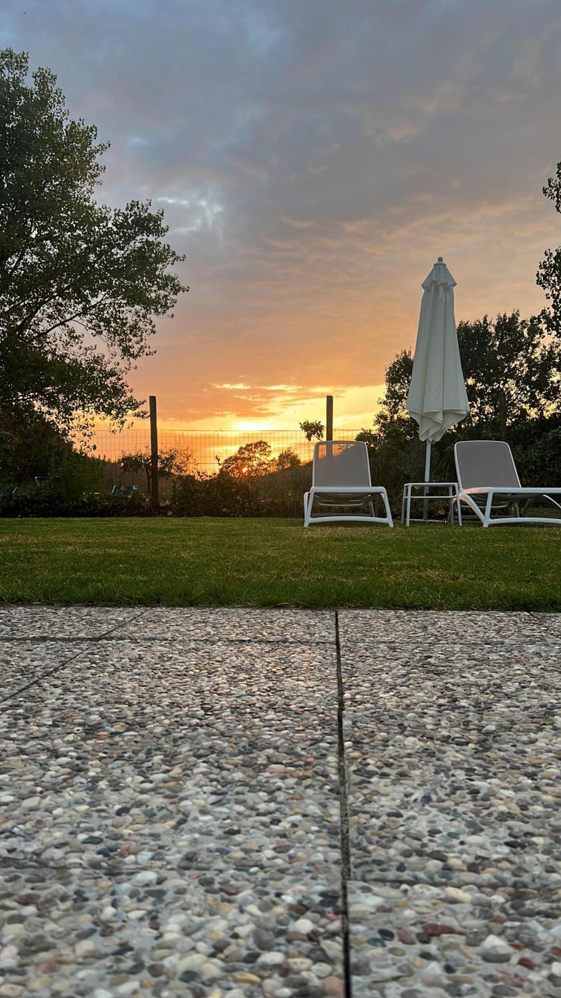 Agriturismo La Cerbana Palaia Extérieur photo